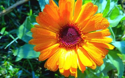 11/6/2024